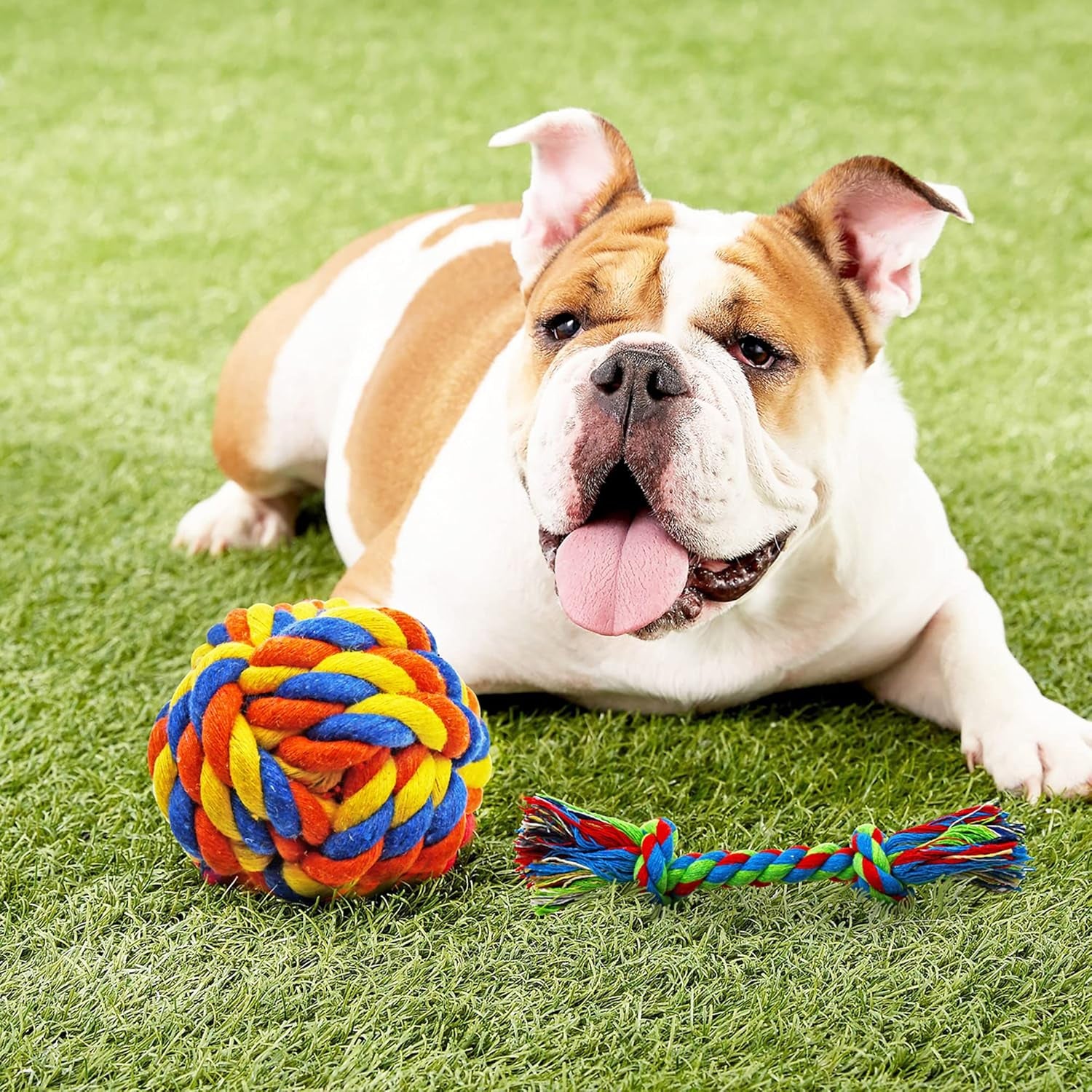 14-Pack Puppy Chew Toy Bundle for Teething and Tug of War, Including Squeaky Toys, Chew Balls, and Rubber Bones for Small Dogs